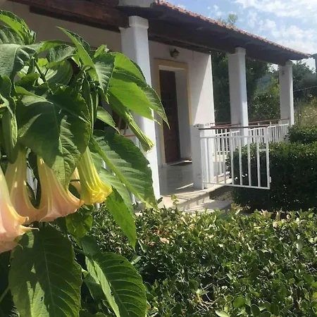 Apartment Thanos Arillas (Corfu)